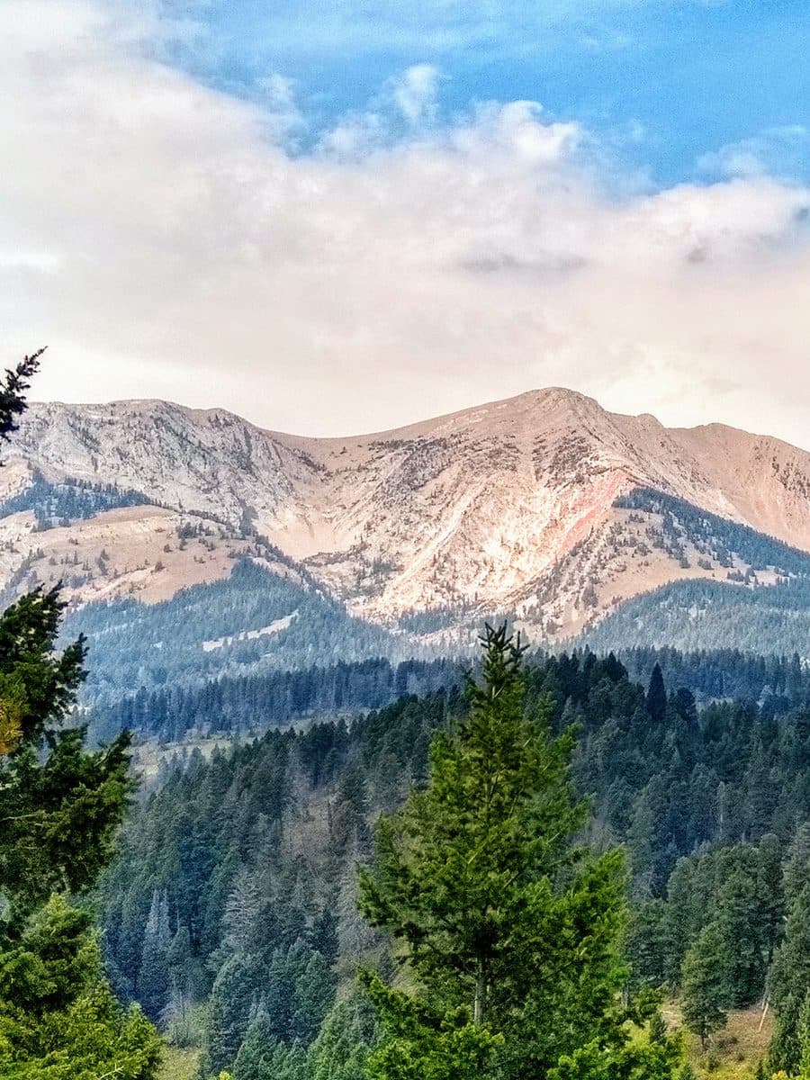 Bridger Mountain Range